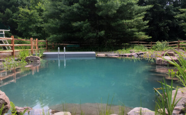 pondworks_natural-swimming-pool_01